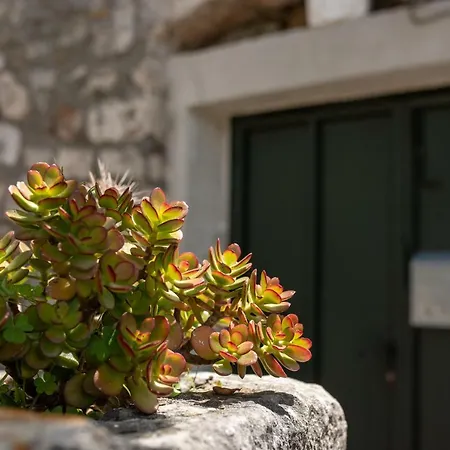 Gasthof Duks Dvori Dubrovnik
